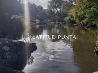 https://www.gallito.com.uy/chacra-11ha-en-maldonado-vende-o-permuta-inmuebles-24146149