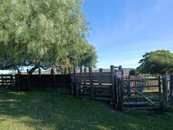https://www.gallito.com.uy/muy-buen-campo-mixto-ganadero-forestal-de-690-has-inmuebles-24355372