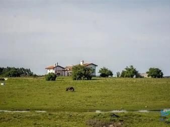 https://www.gallito.com.uy/casa-tipo-colonial-en-chacra-10-has-bien-ubicada-inmuebles-22538421