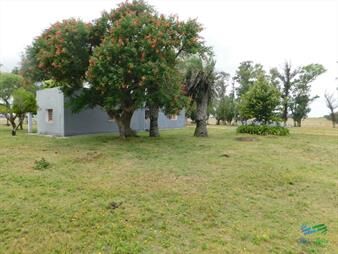 https://www.gallito.com.uy/31-has-con-casa-r9-frente-entrada-garzon-inmuebles-22538430