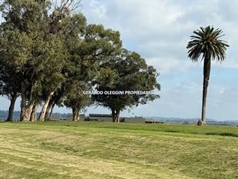 https://www.gallito.com.uy/venta-terreno-en-el-quijote-de-5079m2-barrio-privado-inmuebles-26995482