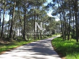 https://www.gallito.com.uy/terreno-amplio-en-punta-ballena-inmuebles-25042547