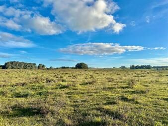 https://web5.gallito.com.uy/venta-de-chacra-5-hectareas-en-anastasio-jose-ignacio-inmuebles-25611765