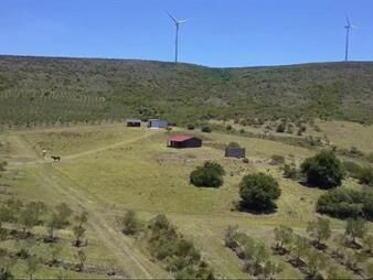 https://web5.gallito.com.uy/venta-campo-con-olivos-3-molinos-eolicos-inmuebles-21602780