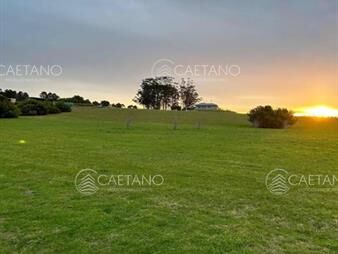 https://www.gallito.com.uy/venta-lote-en-pueblo-mio-manantiales-inmuebles-25587773