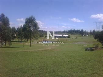 https://web5.gallito.com.uy/hermosa-chacra-con-produccion-de-olivos-inmuebles-24745176