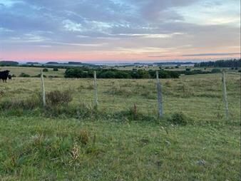 https://web5.gallito.com.uy/chacras-en-venta-altos-de-jose-ignacio-inmuebles-27405931