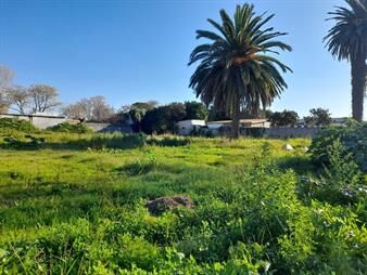 https://web5.gallito.com.uy/terreno-2242m2-venta-en-peñarol-ideal-inversores-inmuebles-27092816