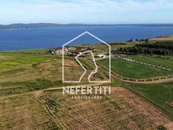 https://web5.gallito.com.uy/venta-chacra-5-hectarias-en-complejo-laguna-del-inmuebles-27453144