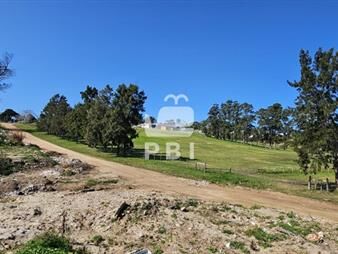 https://web5.gallito.com.uy/terrenos-en-venta-frente-a-club-de-golf-de-punta-inmuebles-25951744