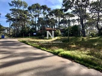 https://www.gallito.com.uy/gran-terreno-en-venta-ubicado-en-san-rafael-es-inmuebles-25042801