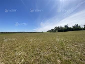 https://web5.gallito.com.uy/venta-gran-terreno-sobre-laguna-del-diario-inmuebles-24049974