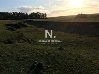 https://web5.gallito.com.uy/chacra-en-jose-ignacio-punta-del-este-inmuebles-25042299