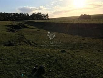 https://web5.gallito.com.uy/chacra-en-jose-ignacio-punta-del-este-inmuebles-23974188