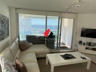https://web5.gallito.com.uy/playa-brava-piso-alto-vista-al-mar-y-mucho-sol-inmuebles-27453977