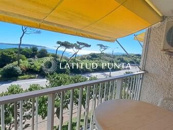 https://web5.gallito.com.uy/mansa-apartamento-de-dos-dormitorios-en-primera-inmuebles-25490702