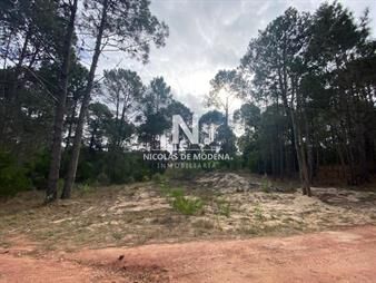 https://web5.gallito.com.uy/oportunidad-terreno-en-venta-en-club-del-lago-inmuebles-25037568