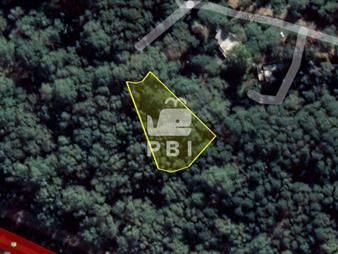 https://www.gallito.com.uy/venta-de-lote-en-portezuelo-bosque-punta-ballena-inmuebles-23123329