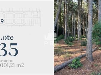 https://www.gallito.com.uy/terreno-en-venta-en-barrio-privado-ref-inmuebles-27212469