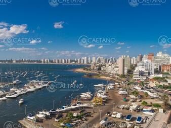 https://web5.gallito.com.uy/puerto-de-punta-del-este-hermoso-apto-para-inmuebles-20533923