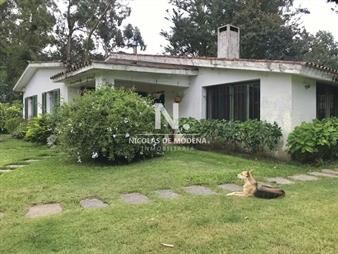 https://web5.gallito.com.uy/casa-acogedora-muy-iluminada-inmuebles-25042060