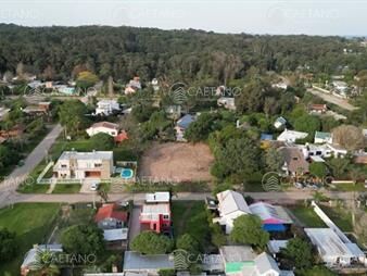 https://web5.gallito.com.uy/venta-terreno-el-tesoro-la-barra-inmuebles-27405760