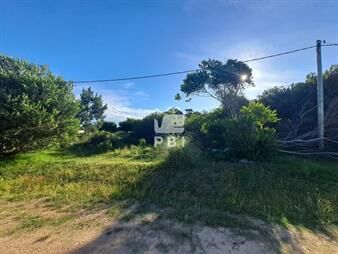 https://web5.gallito.com.uy/terreno-balneario-bs-as-ref-pbi13076-inmuebles-24646492