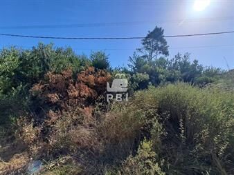 https://web5.gallito.com.uy/venta-de-lote-oportunidad-con-vista-al-mar-inmuebles-26779549