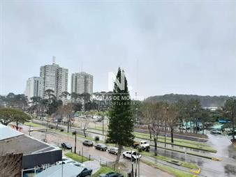 https://web5.gallito.com.uy/edificio-geneve-1-dormitorio-en-venta-punta-del-inmuebles-25042885