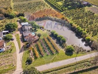https://www.gallito.com.uy/venta-chacra-en-melilla-4-7-has-cno-los-pirinchos-inmuebles-27468575