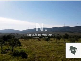 https://www.gallito.com.uy/en-venta-excelente-campo-olivicola-de-54has-en-inmuebles-27479016