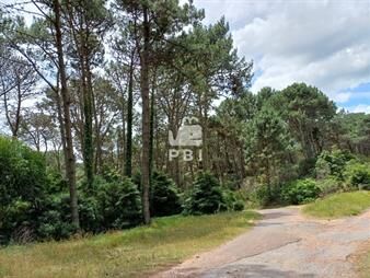 https://web5.gallito.com.uy/terreno-venta-club-del-lago-ref-pbi14201-inmuebles-27479340