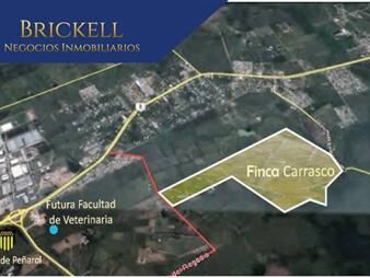 https://www.gallito.com.uy/terrenos-venta-punta-rieles-inmuebles-27479344