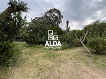 https://web5.gallito.com.uy/terreno-en-los-angeles-ref-te101297-inmuebles-23229874
