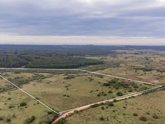 https://www.gallito.com.uy/oportunidad-campo-20-ha-venta-en-las-sierras-de-garzon-inmuebles-25763860