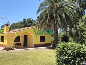 https://www.gallito.com.uy/casa-con-gran-terreno-de-9026-m2-sobre-ruta-11-inmuebles-27484821