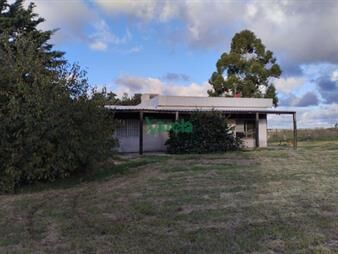 https://www.gallito.com.uy/venta-chacra-3-5-htas-casa-3-dormitorios-1-baño-inmuebles-27484901