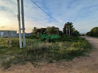 https://www.gallito.com.uy/terreno-en-venta-san-luis-caribe-oriental-inmuebles-27484960