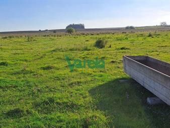 https://www.gallito.com.uy/campo-108-has-proximo-a-san-jacinto-inmuebles-27484997