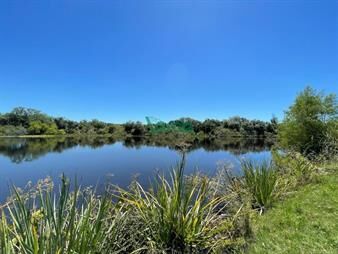 https://www.gallito.com.uy/campo-de-91-has-en-pando-con-costa-sobre-el-inmuebles-27485039