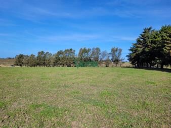 https://www.gallito.com.uy/chacra-a-la-venta-en-atlantida-inmuebles-27485095