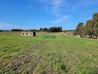 https://www.gallito.com.uy/venta-de-chacra-en-atlantida-inmuebles-27485107