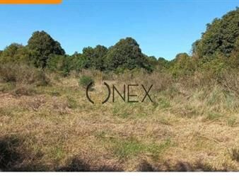 https://www.gallito.com.uy/venta-de-chacra-en-cañada-bellacas-inmuebles-27485438