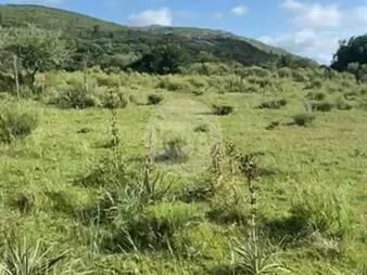https://web5.gallito.com.uy/lote-de-10000-m2-en-proyecto-tekopora-sierras-de-lavallej-inmuebles-27485271