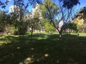 https://web5.gallito.com.uy/terreno-en-maldonado-atencion-inversores-inmuebles-27489725