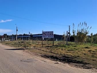 https://www.gallito.com.uy/padron-esq-cielo-abierto-sobre-ruta-interbalnearia-inmuebles-27484752