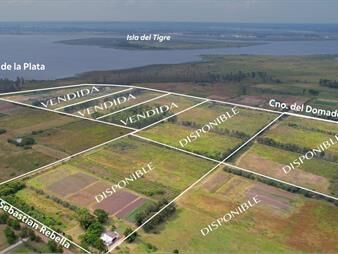 https://web5.gallito.com.uy/campo-en-venta-fraccionado-con-costa-al-rio-de-la-plata-inmuebles-25161213