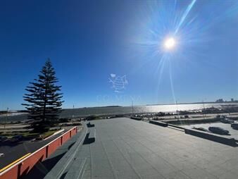 https://web5.gallito.com.uy/apartamento-en-venta-frente-al-mar-punta-del-inmuebles-27497520