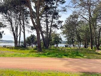https://web5.gallito.com.uy/venta-lote-en-barrio-privado-reserva-montoya-inmuebles-27503217
