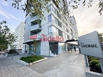 https://web5.gallito.com.uy/apartamento-en-venta-1-dormitorio-centro-de-inmuebles-25793320